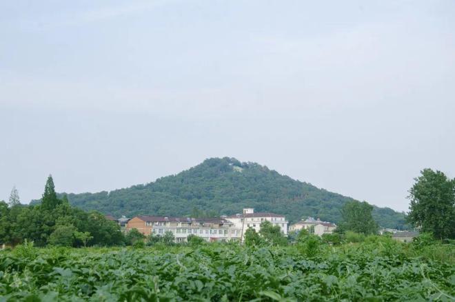 金牛大西瓜甜蜜上市pg电子试玩平台(图9)