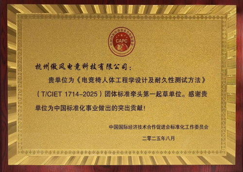 竞椅团体标准填补行业专门技术规范空白pg电子模拟器免费版傲风牵头制定电(图3)